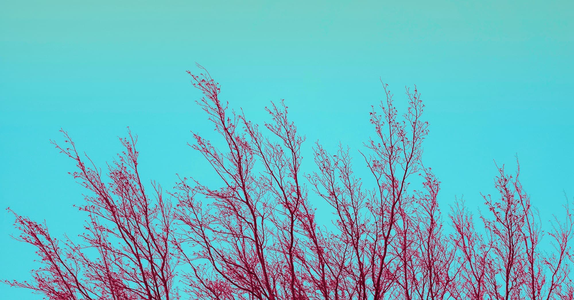 Remote and tracking branches with Git
