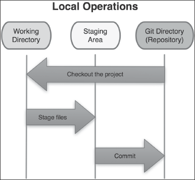 Git Workflow
